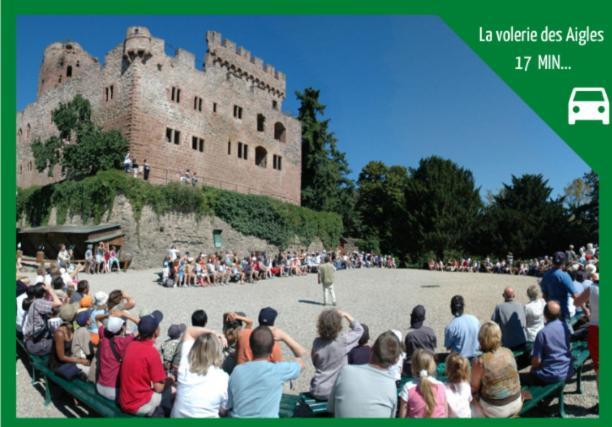 Aux Plaisirs D'Alsace Centre Historique Διαμέρισμα Sélestat Εξωτερικό φωτογραφία