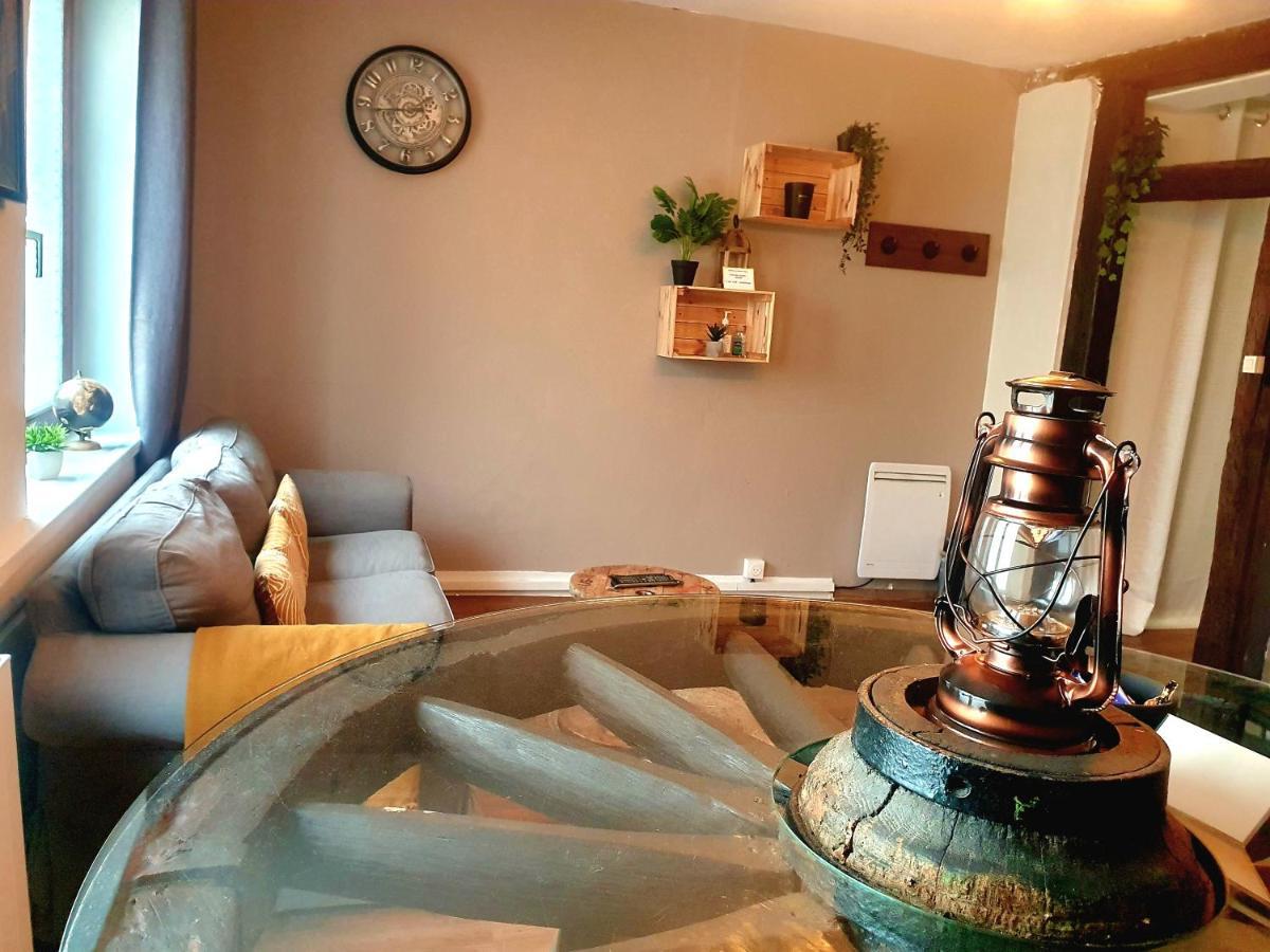 Aux Plaisirs D'Alsace Centre Historique Διαμέρισμα Sélestat Εξωτερικό φωτογραφία